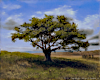 Giclee product image thumbnail