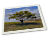 Giclee on Paper product image thumbnail