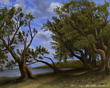 Landscape oil painting entitled 'Old Olive Tree Path' by John O'Keefe