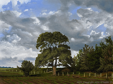 Landscape oil painting entitled 'The Fields Edge' by John O'Keefe